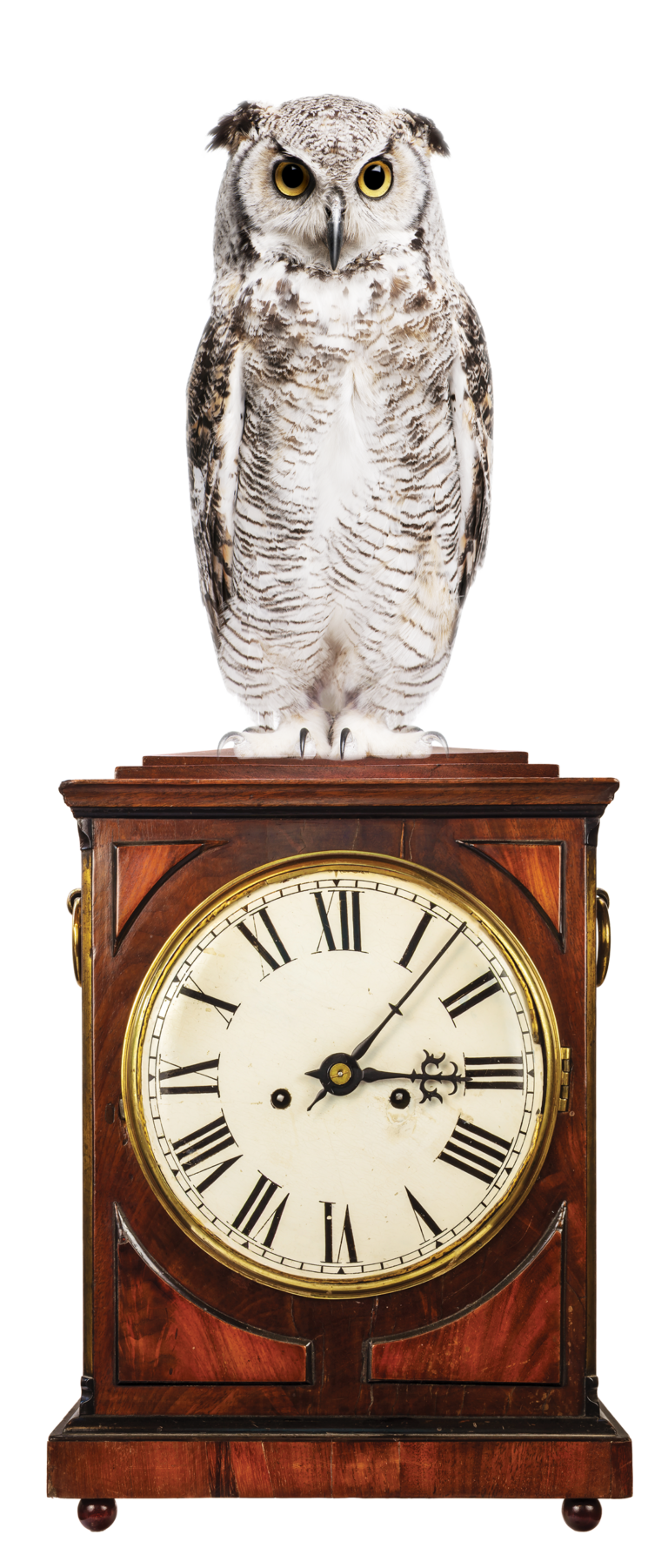 Restoration Services for Antique Clocks, Nashville Metropolitan Area