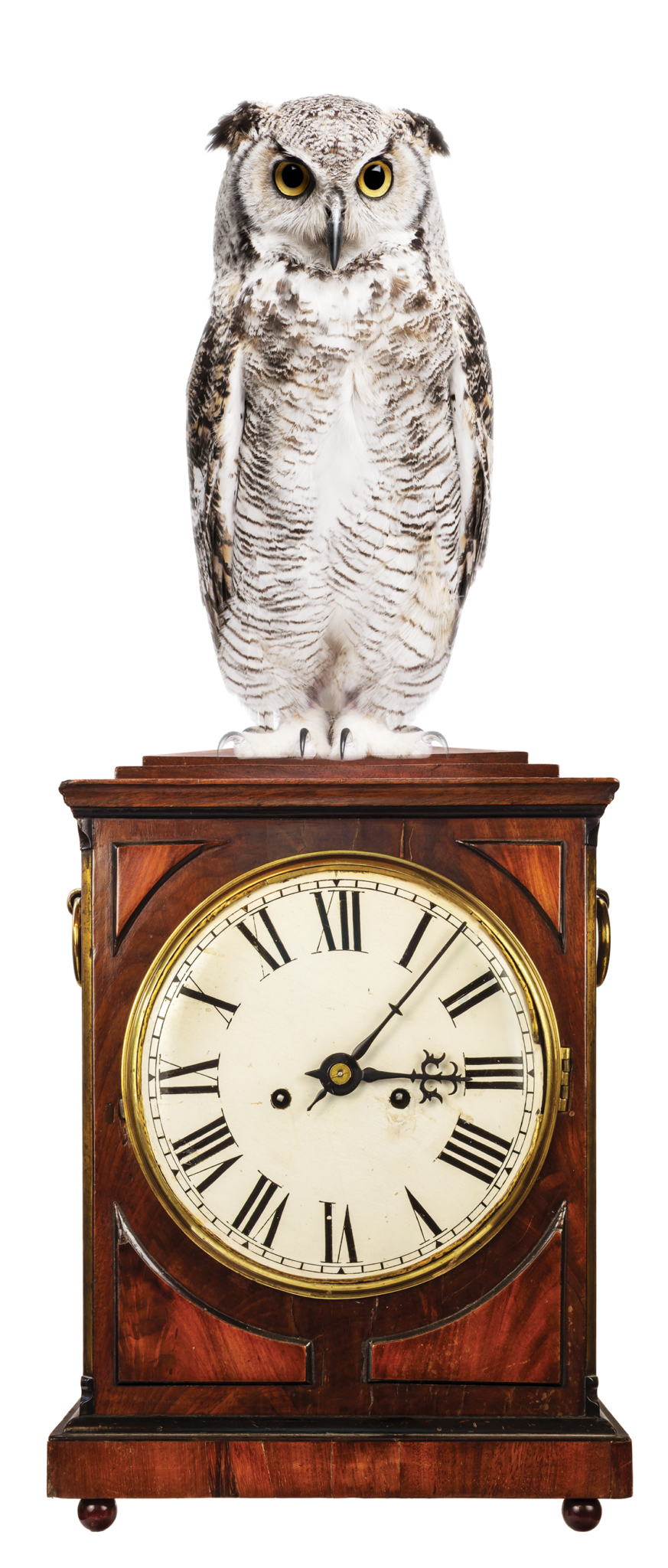 Restoration Services for Antique Clocks, Nashville Metropolitan Area Restoration Services for Antique Clocks, Nashville Metropolitan Area